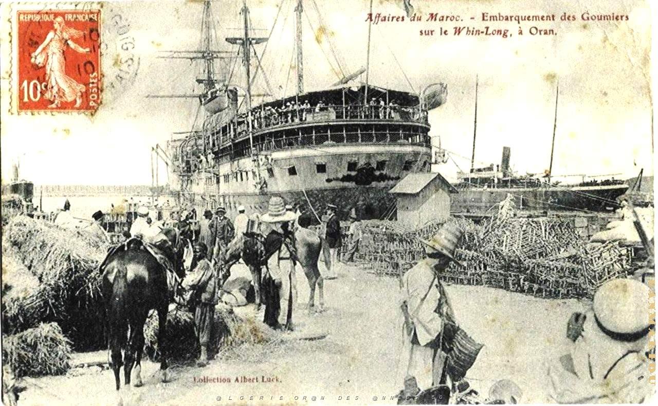PO e- 486.jpg